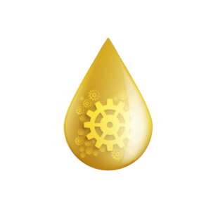 Done-for-you drip campaign automation CAD